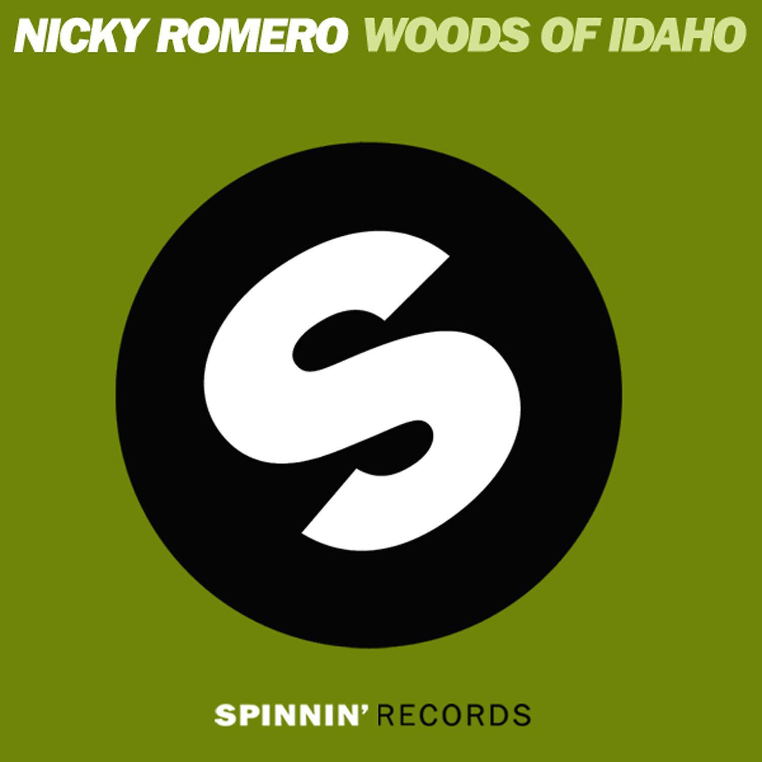 Nicky Romero - Woods of Idaho (Hanna Hansen & David Puentez Amsterdam 2010 Remix)