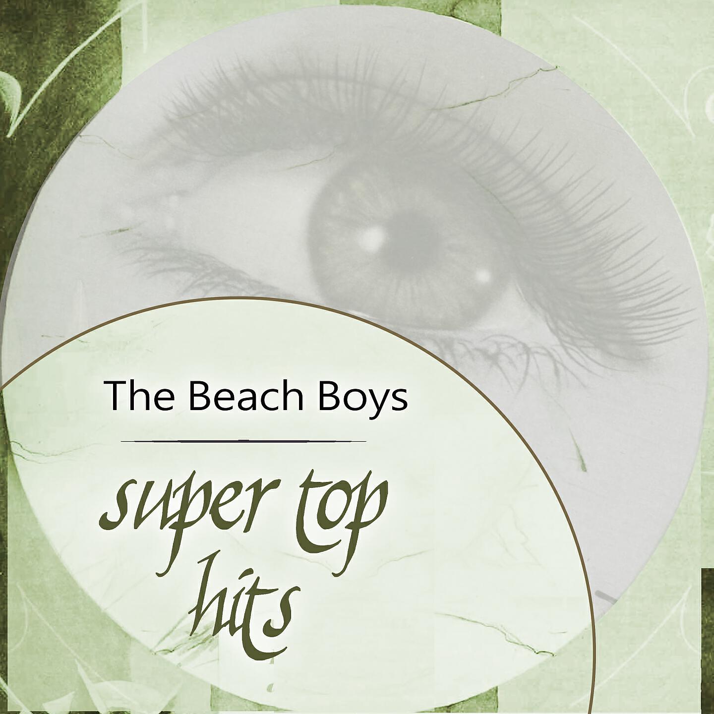 The Beach Boys - The Shift