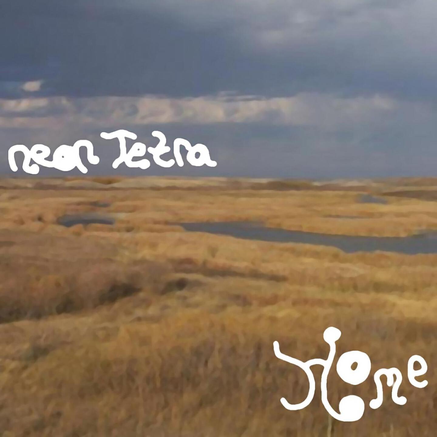 Neon Tetra - Lost (Parts 1+2)