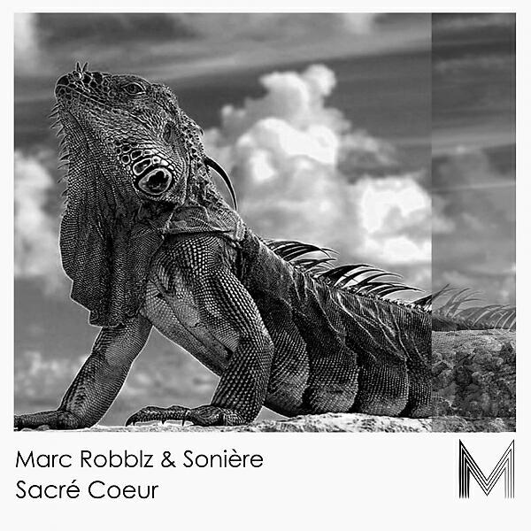 Marc Robblz - Sacré Coeur