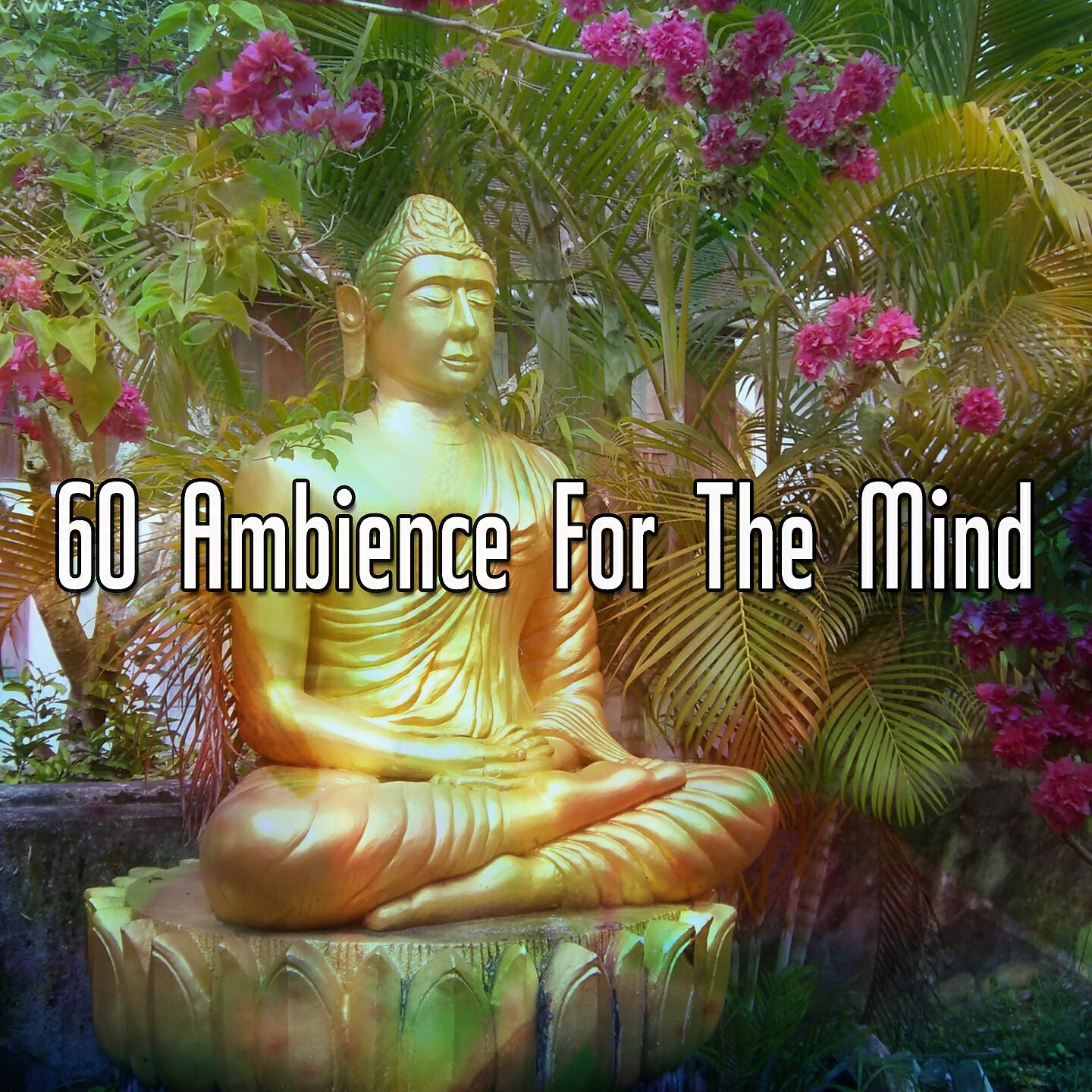 Ambiente - Aquatic Embrace