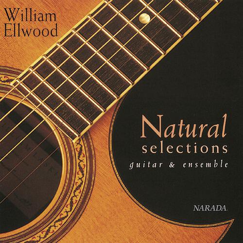 William Ellwood - Night Calling