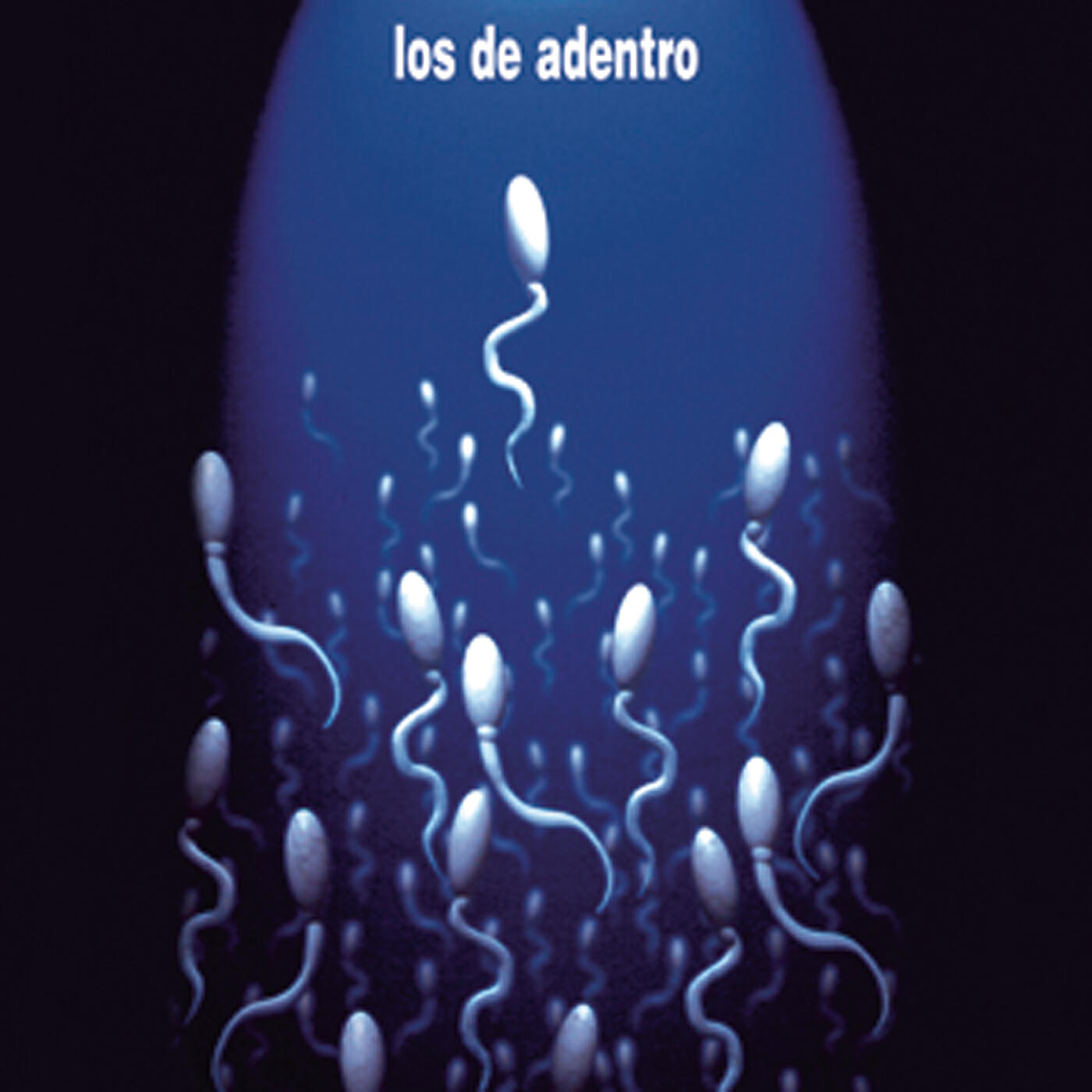 Los De Adentro - Platonico (Album Version)