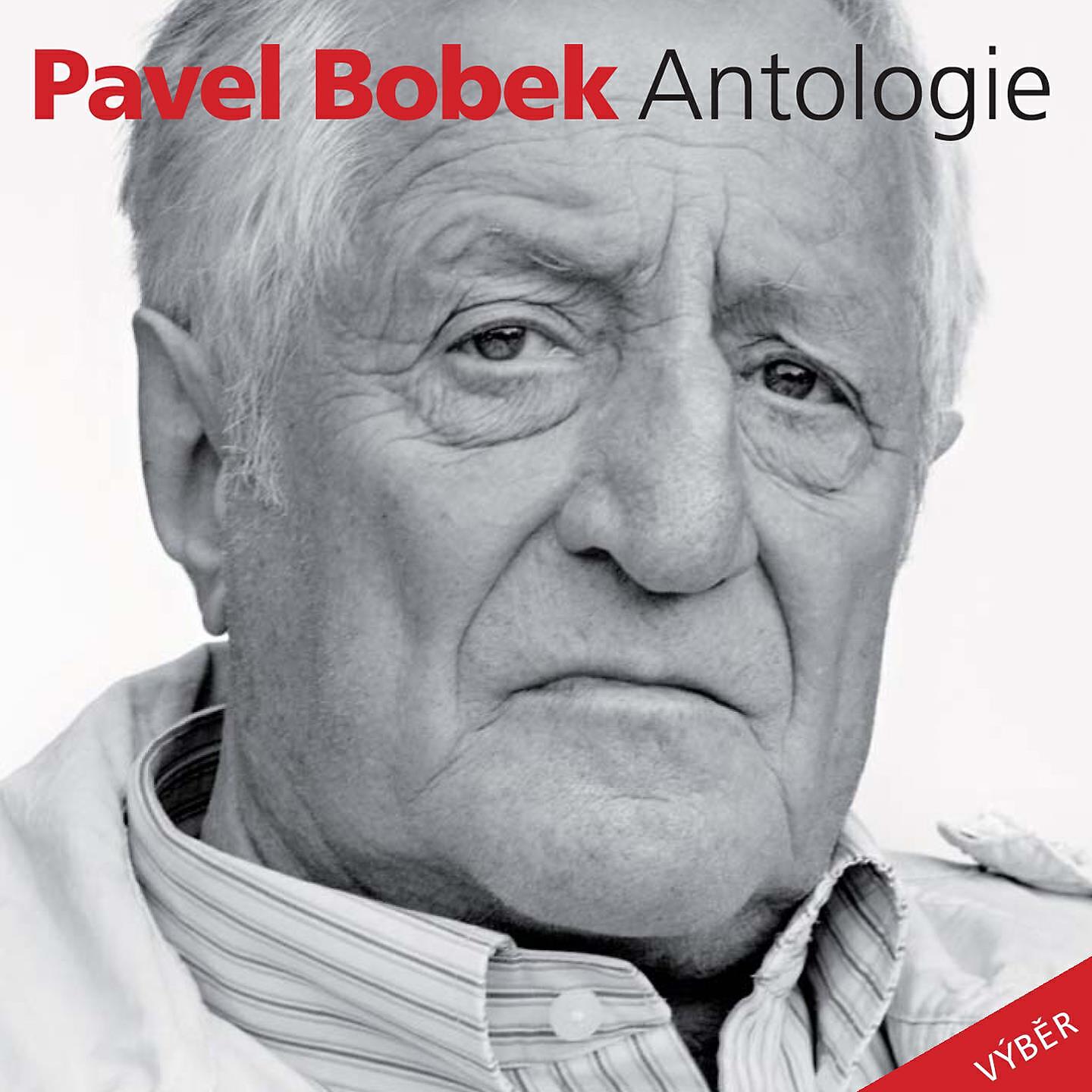 Pavel Bobek - Houston