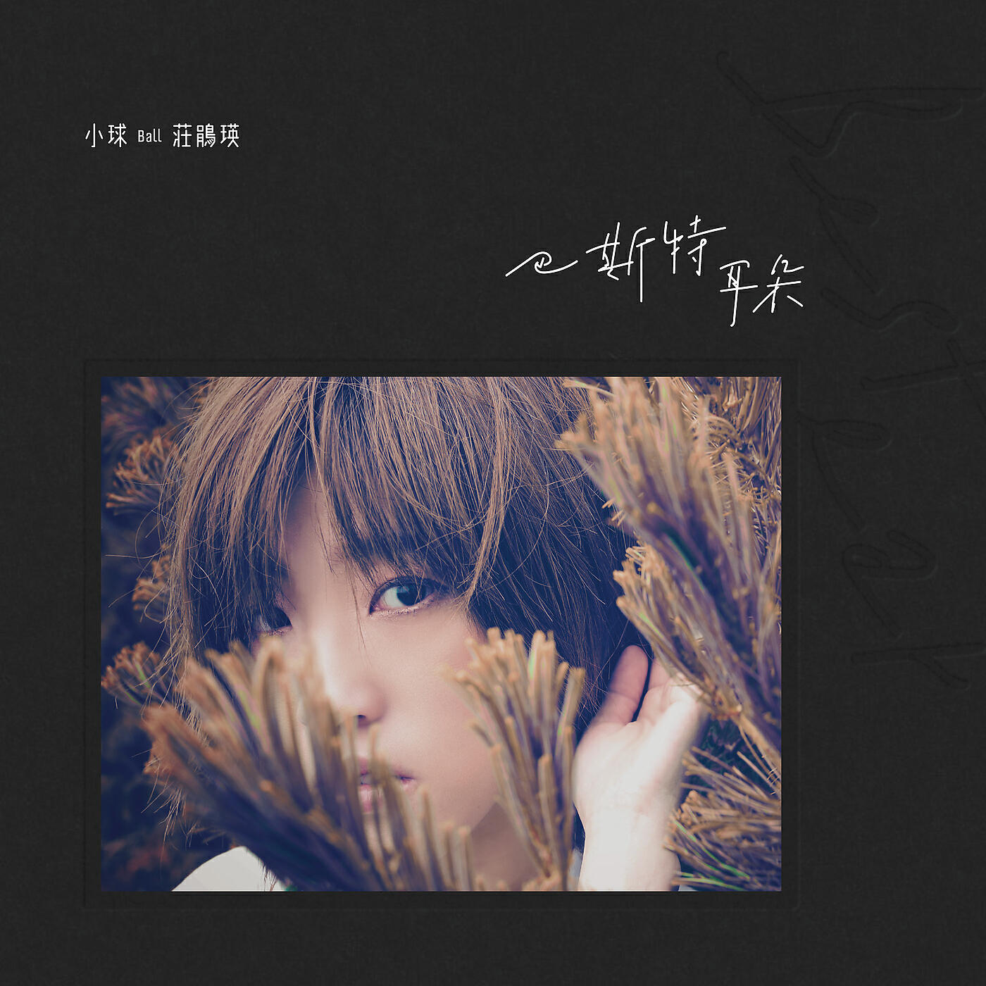 Xiao Qiu - Pin Tu Ri Ji