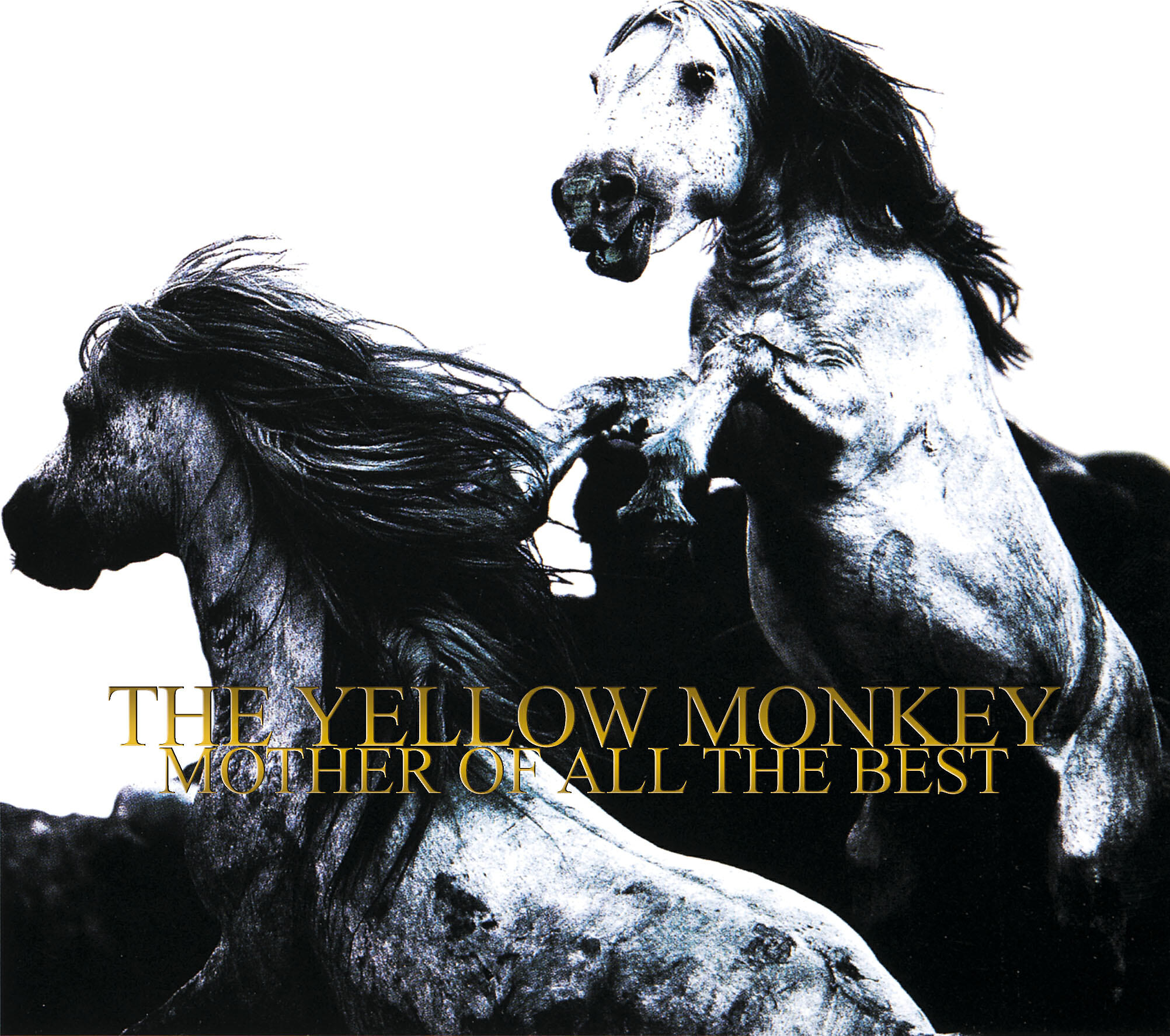 THE YELLOW MONKEY - Suck of Life (Remastered)