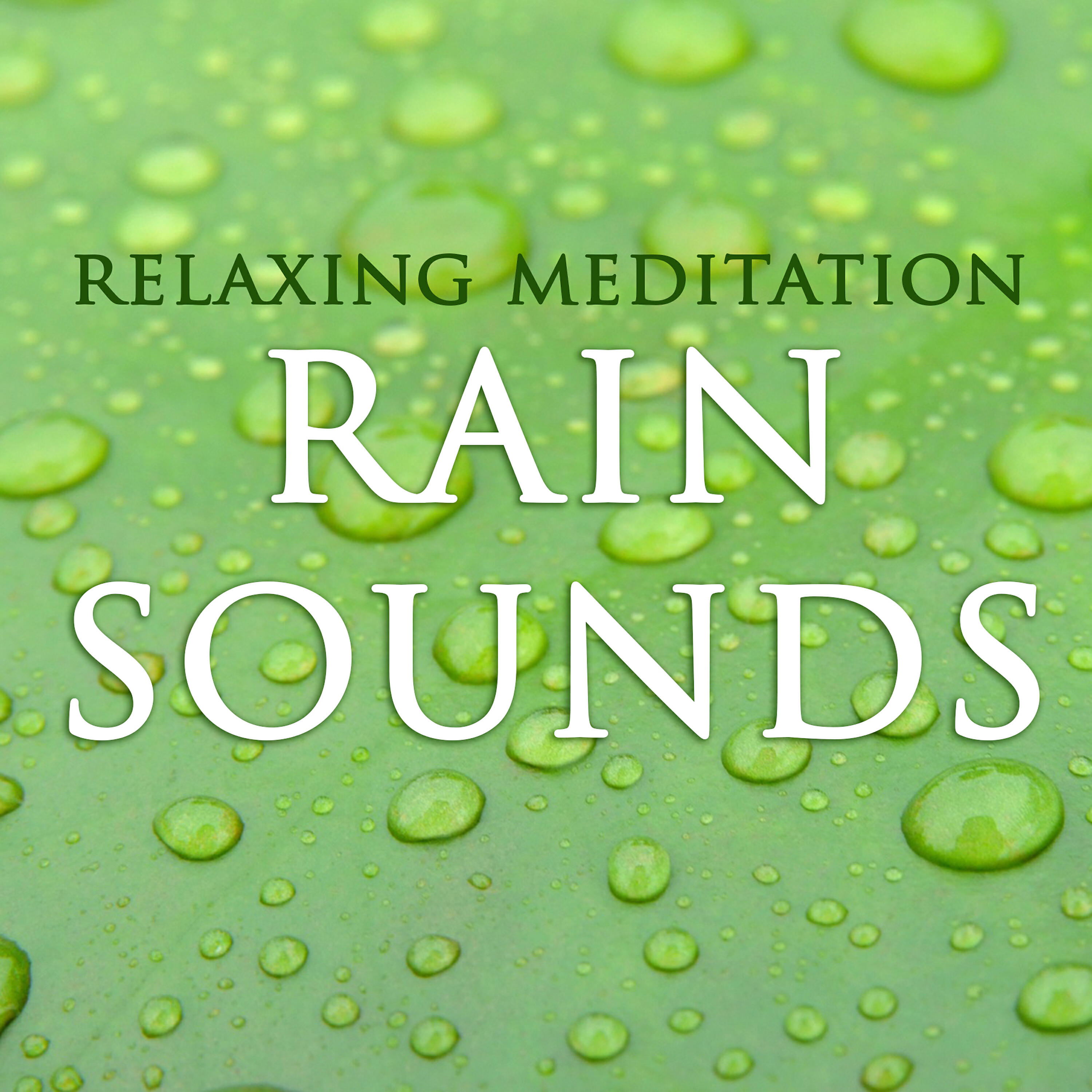 Rain Sounds - Rain: Tranquility