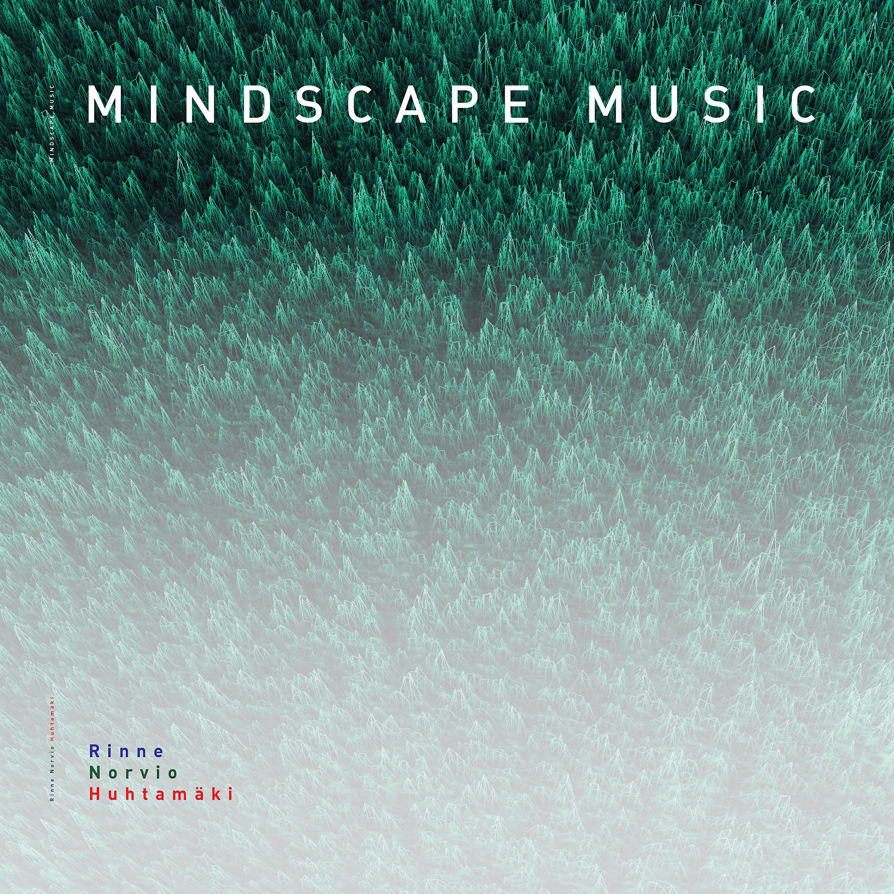 Tapani Rinne - Practical Nothingnes