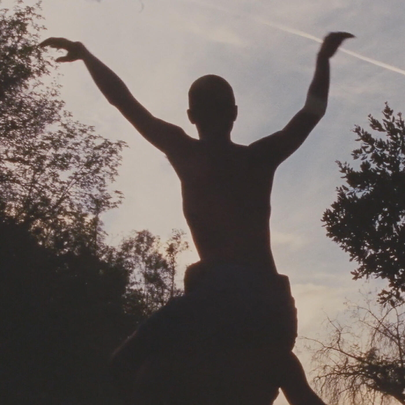 Mereba - Late Bloomer