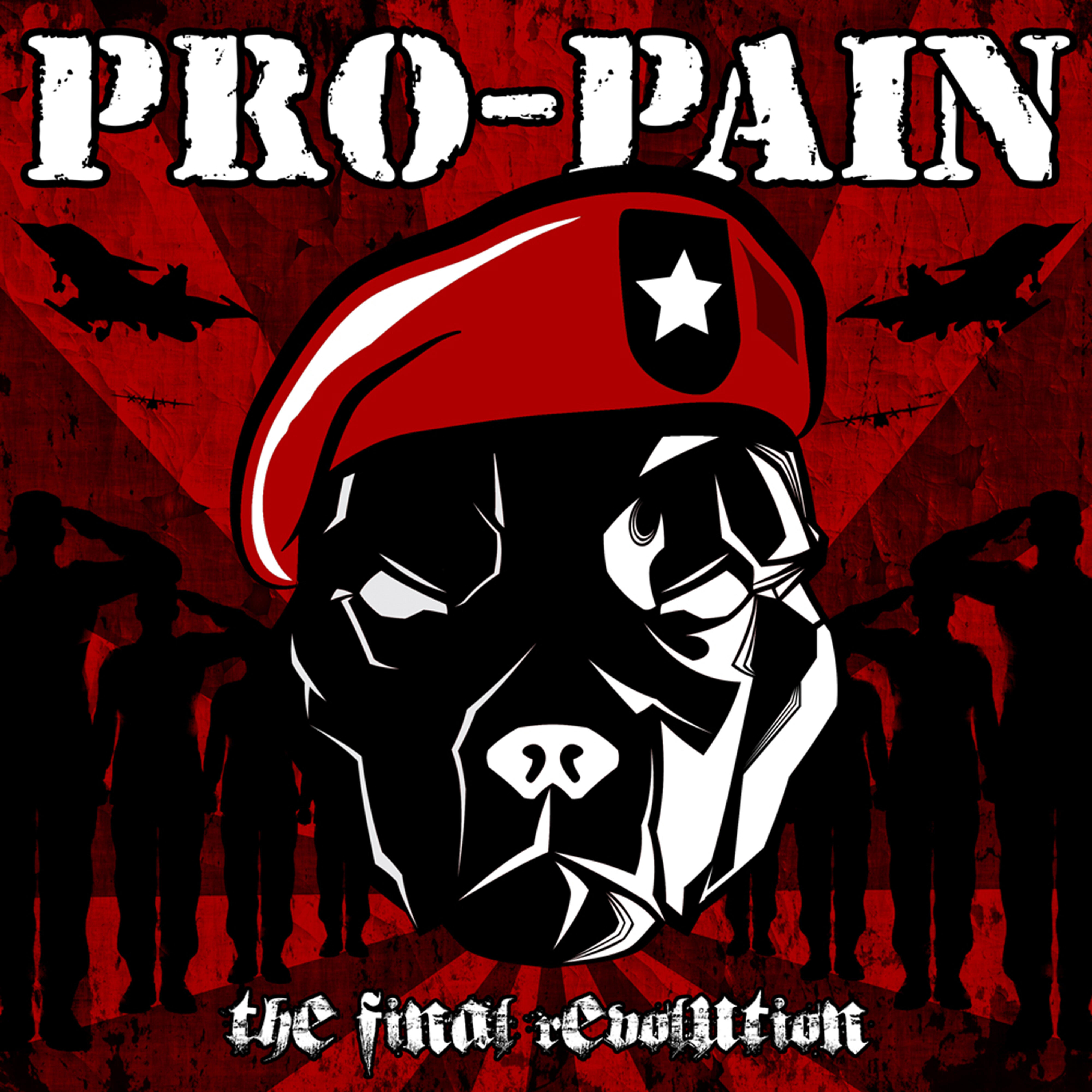 Pro-Pain - Problem Reaction Solution