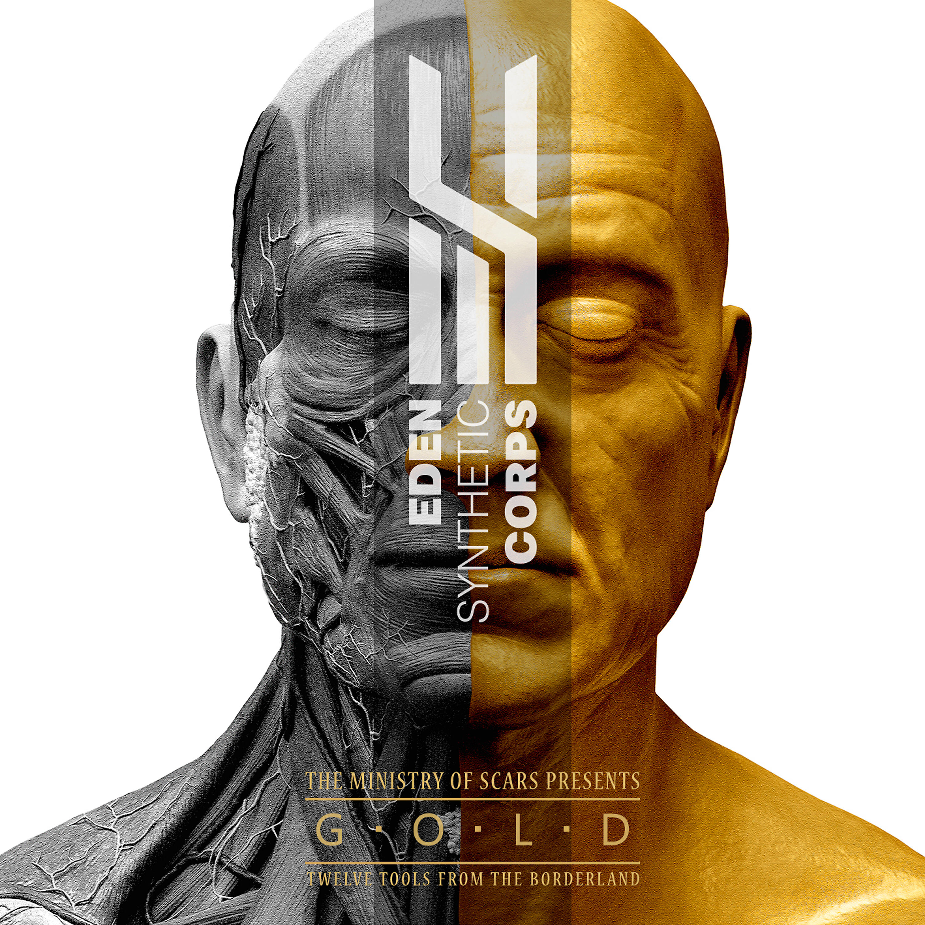Eden Synthetic Corps - Ash