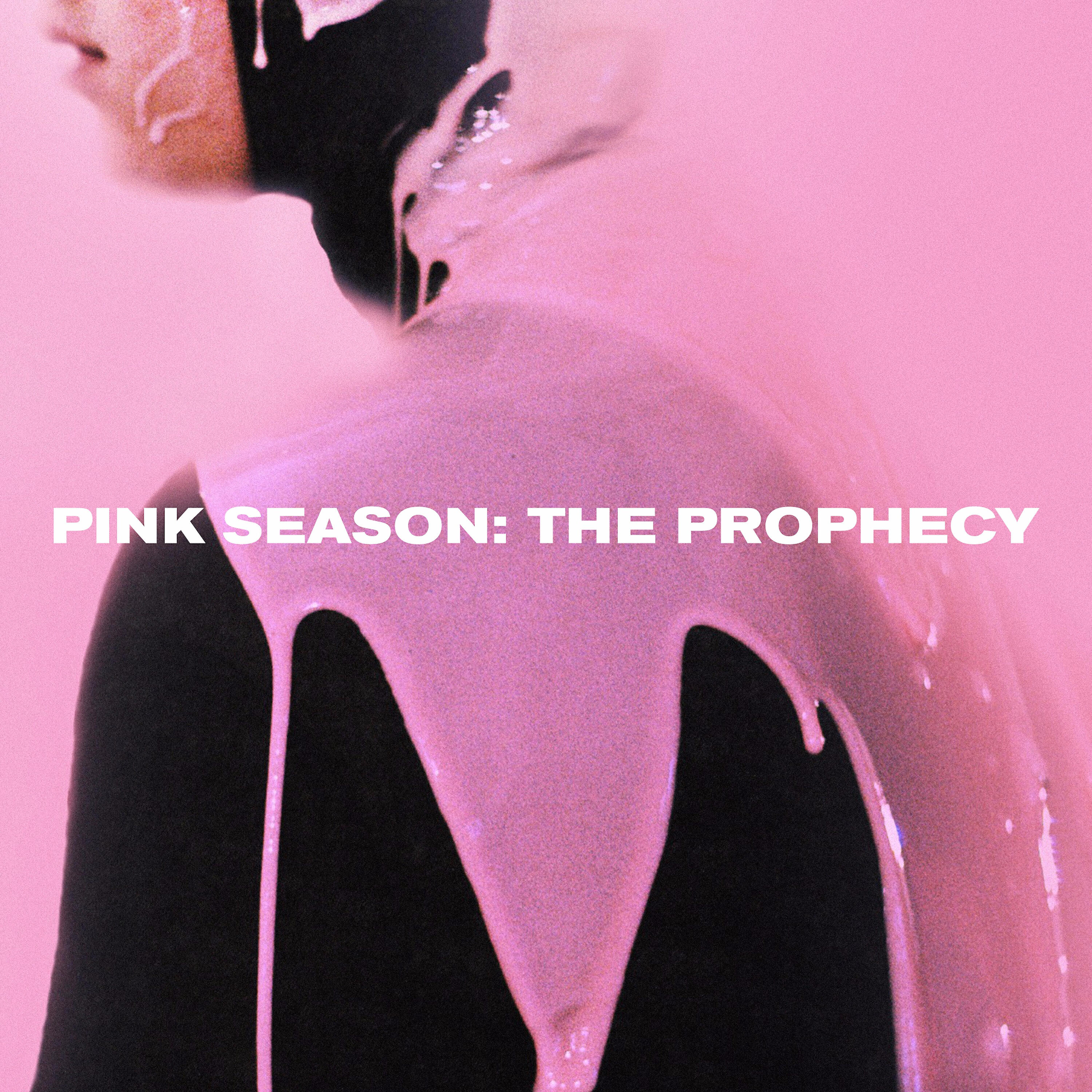 Pink Guy - Dumplings (Borgore Remix)