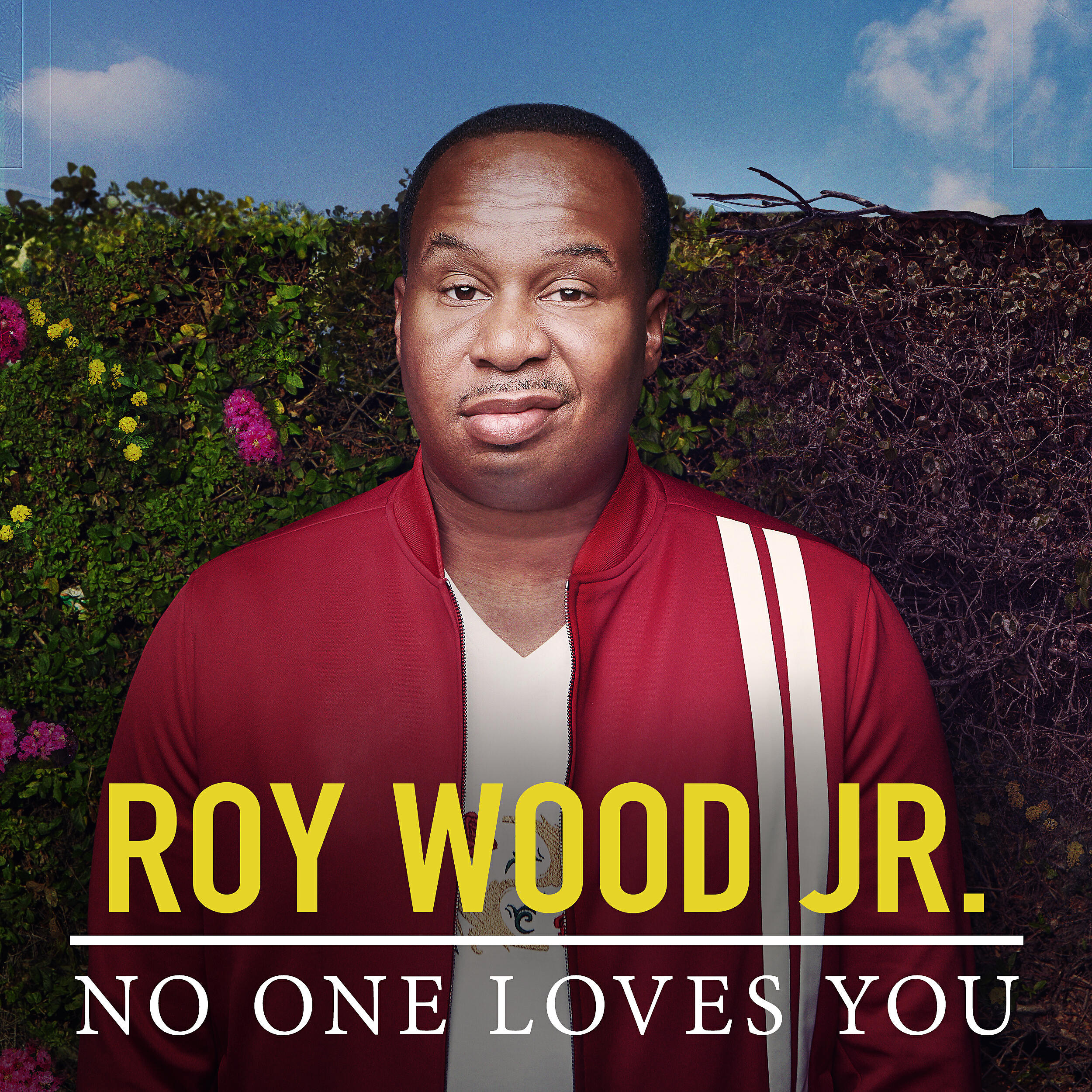 Roy Wood Jr. - Love Shady R&B Singers