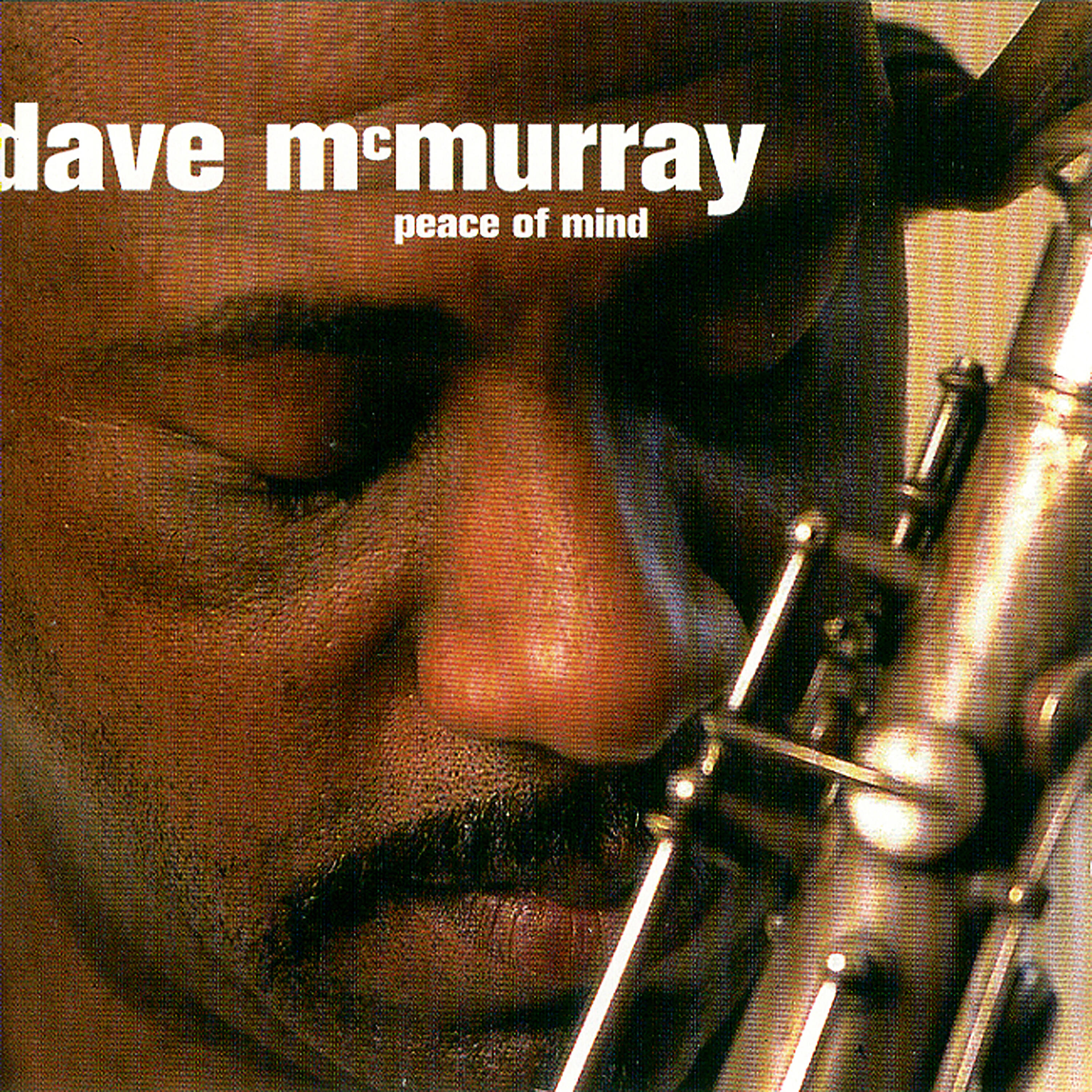 Dave McMurray - In This Life