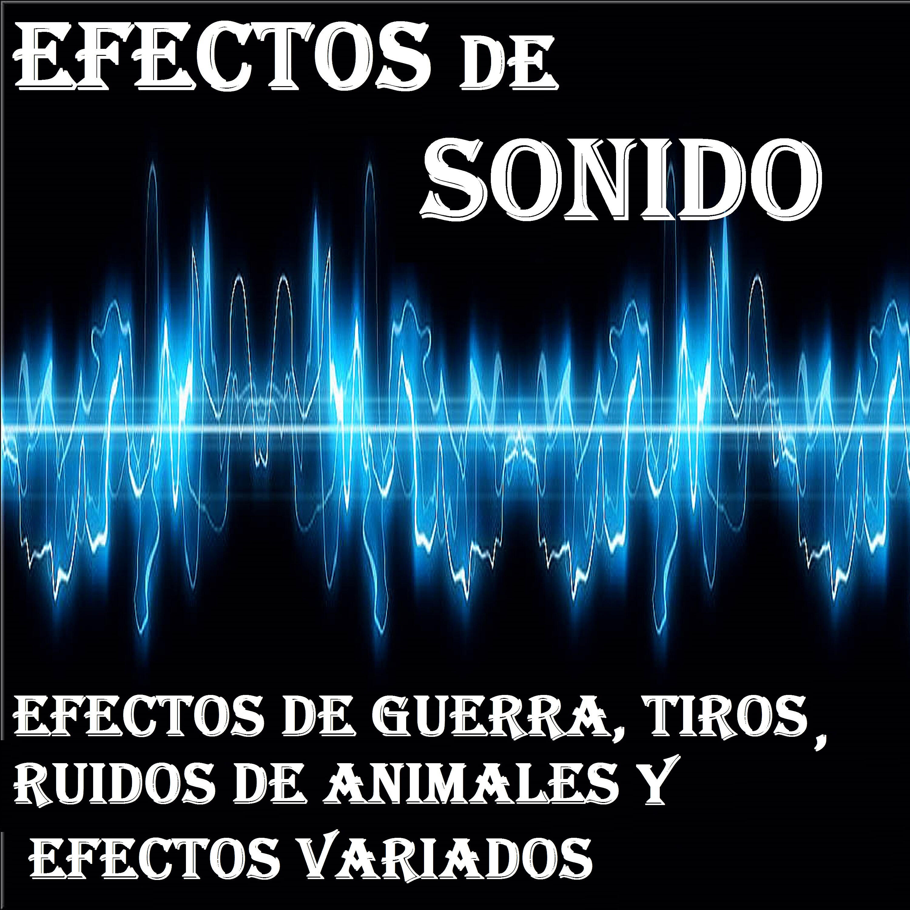 Orquesta Club Miranda - Perro (2)