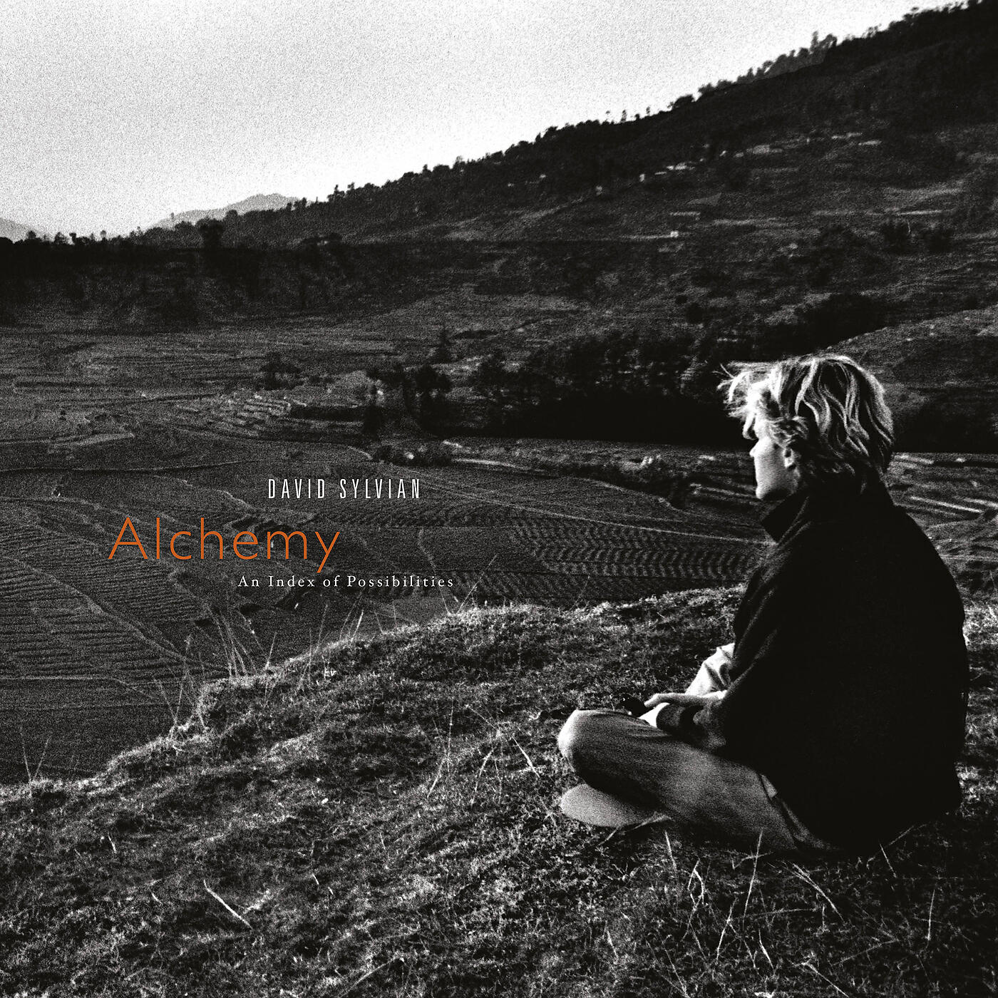 David Sylvian - The Stigma Of Childhood (Kin)