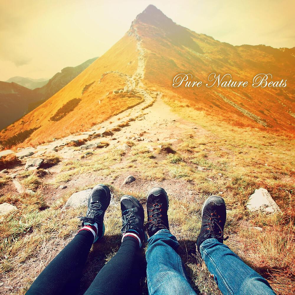 Converted Specifications - Northern Lights