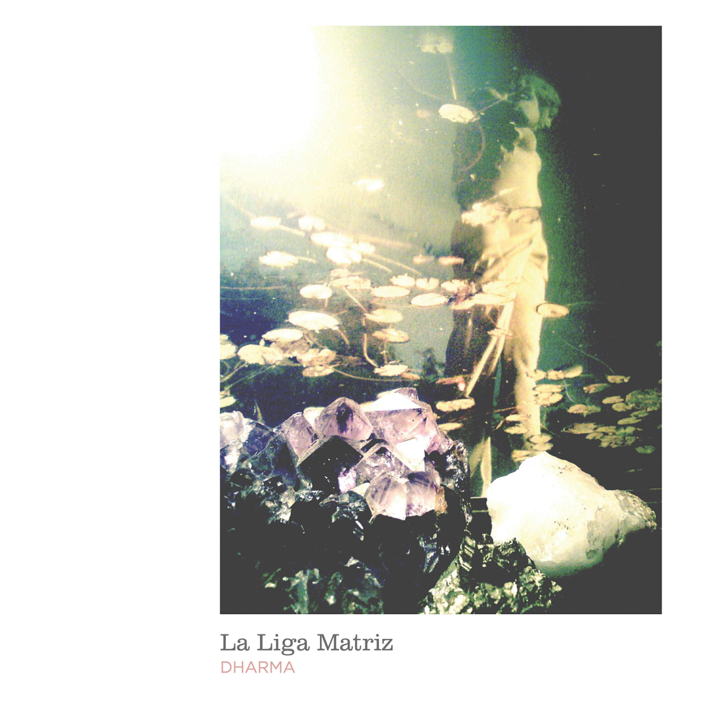 La Liga Matriz - Esfumado