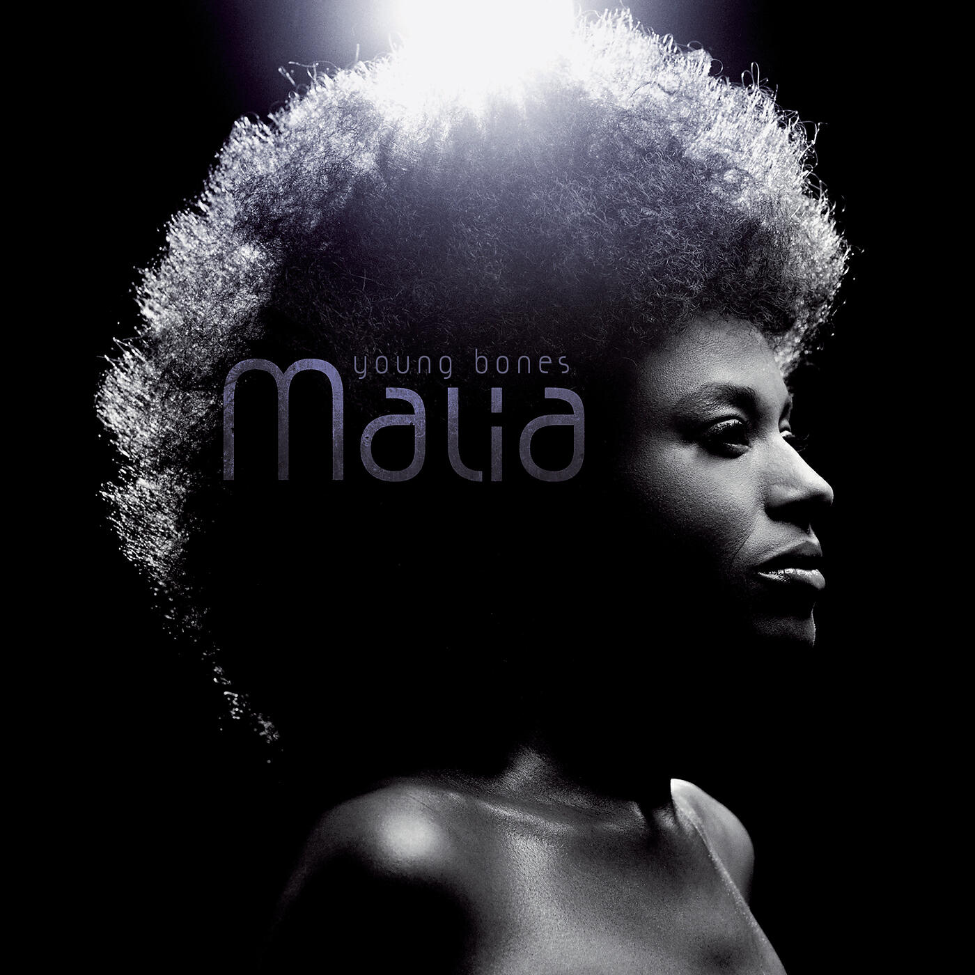 Malia - The Little Black Bird