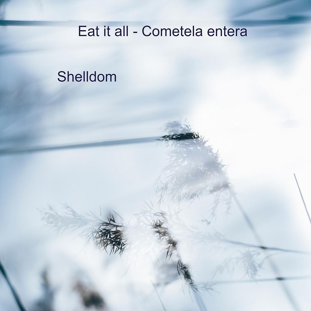 Shelldom - Sounds Good